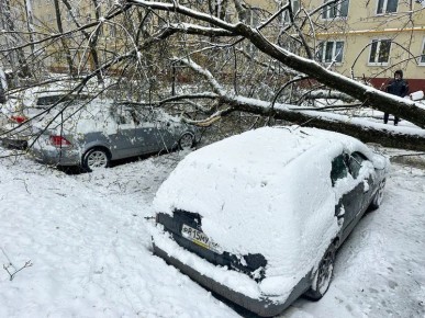 ���������� ����� ��-��� �����: ��������� ���������� ������� �������