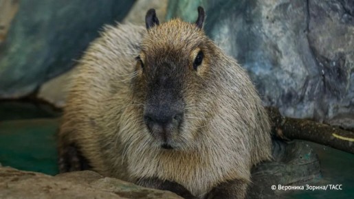 � ���������� �������� ��������� � ���������� ���������� ����� �� ����� ��-�� ��������� � �����������, �������� � �����-������ ����������