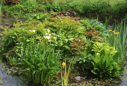 ������������ ������: ��� ���������� ��������������� ������� � �������������� ���