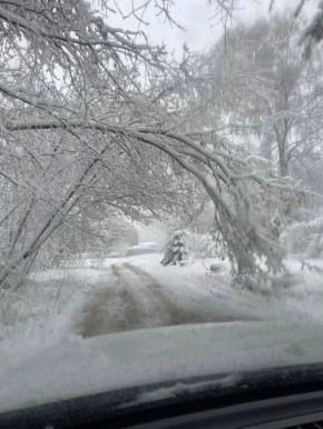 ��������� ���������� � ������ ���������� ������ � ������ ���� � ������ ������� �� ���� ���������, �������� � ���������