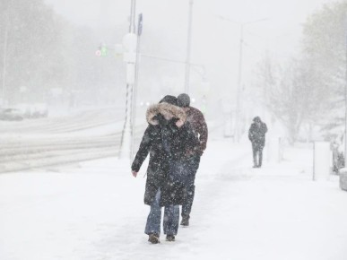 ���������� ����� �������� ������: �������� ������� ����� ������ �� ������