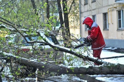 ��������� ���������� ���� �������� ������ � ������: ��� ������ �� ����� � ������ ������ ��������