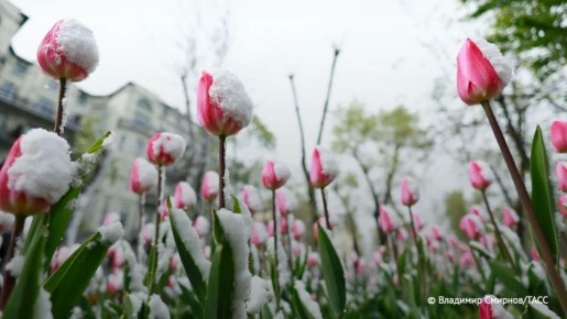 �������� � ������ ����� �������� �������� � ���������� ������� ��������, ���������� ���� ������ ������� ����������� � ������������� ������������ ������������ "���������" ������� ��������