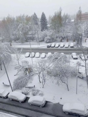 � ������ ��� �������� ����� ������ �������