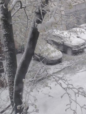 ������� ������ � ������ ��� �������� ��������� �����