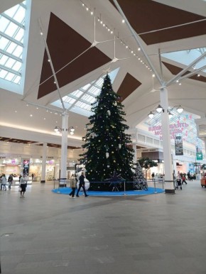 ��� ����� ����� � ����� �������