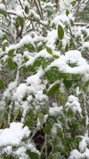 ��������� ��������: ���� ����� �� ����� �������