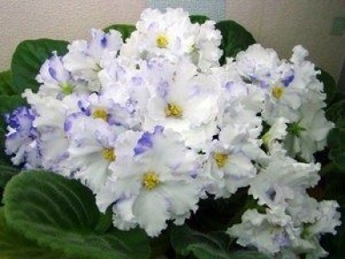 ������ � ����� ����: ������� ����� � ������������ ������