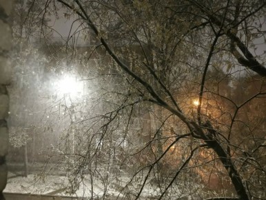 �� ������ ��� �� �������:. ������� �������� ������ - ����� ����� ����� �����