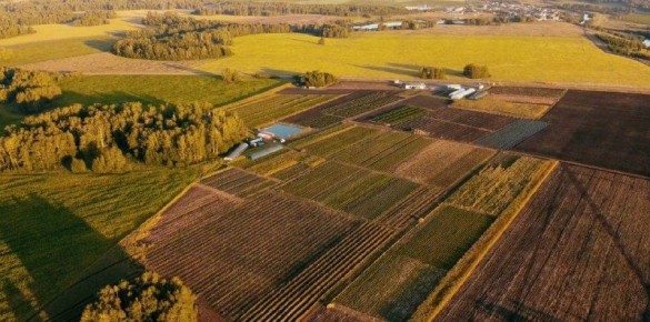 ��� ������� �������� �������: ������ �� ��������������