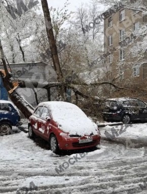 ��� ���� ��������: ����� ������ ������� �� ����, � ������