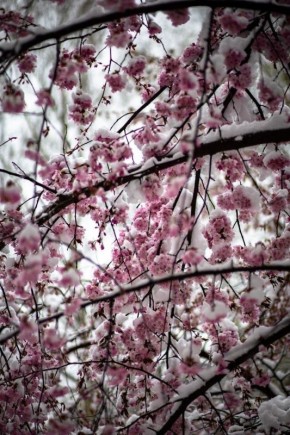 ����� � ���� �����������:. � ���������� ����������� � ������ ������� ������ � ��� �� ��������� ��� ������