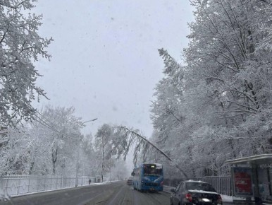 � ������ ������� ��������� ������� ����� � �������� �� 20 �/�, ������, ��������� ����� �� �������� � ��������, ����������.