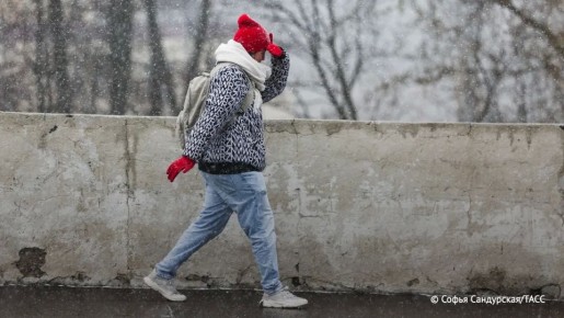 � ���������� ������� �������� ����� �� ����� ������� ��������� ������ ������ �� ����� ������� � ��������� 24 �/�, �������� ���� � ��������������