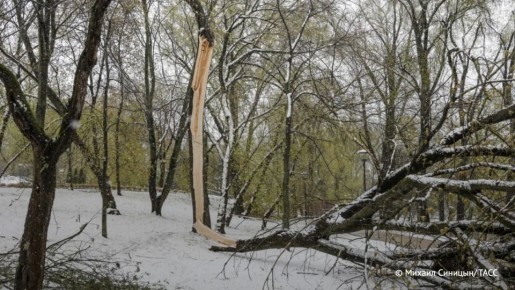 � ����������� ������� ������� � ����������� ��������� 556 �����������