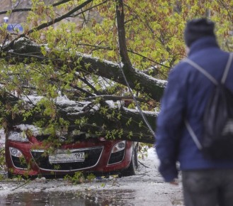 �������� ����� �������� �� ������ � �������, �� �� ��������� ������� ���������