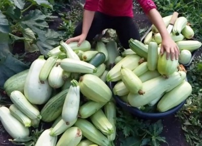 ��� ������������� ���������� ������� � �������� ������ ���������