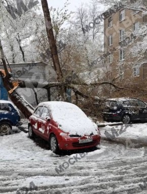 ��� ���� ��������: ����� ������ ������� �� ����, � ������