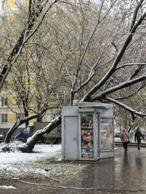 � ������ �������� �������� ������ ������� �������� �����