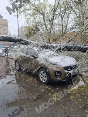 ������ ��������! ����������� � ����������: �� ���������� ��� ��������� � ����� � �������������� ��������