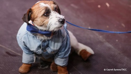 � �� ������ ������ � �������� ������� �������� ��������, ����� ��������� ����� ��� ������������� �������, ��� � ��� ��������� � ������ ���������� �����