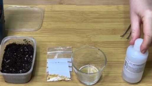 �������� �������� ������ �����������: ��� ��������� ������ ������