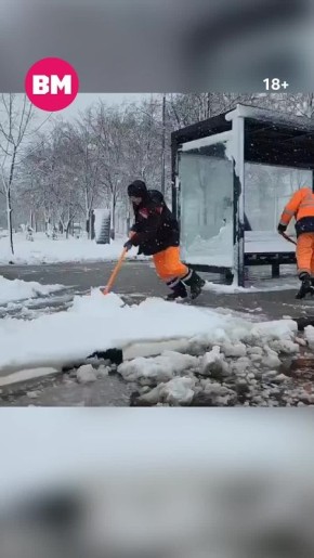 ���� ������ ���� �� ������� ������� ���� � ����� �������� ���������� ���������� �� ����������