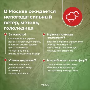 ��������� ������ ���������� ������������� ����������� ��������