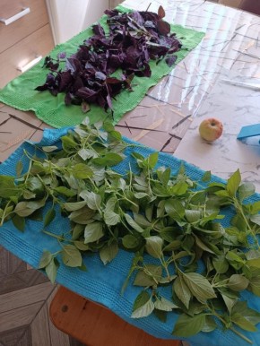 ��� ��������� ������ ������ ���� �� ����: ������ �� ����� � ���������