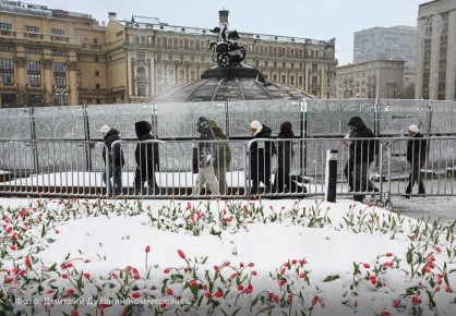 ���������� ������� � ������ � ������ ������ ��������� �������� ����� � 2,3 ����, ������� ������������� ��