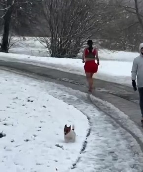 ����� ������ ������� � ������