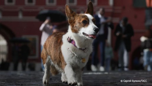 ������ ������ ��� ������� ���� ��������� � ��� ������������ ��������