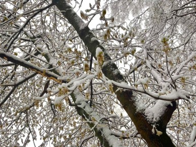 �������� � ������ ������������