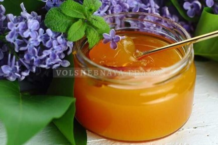 ������ ���� �� ���� �� ��������: ��������� ������ �� ��������� ������