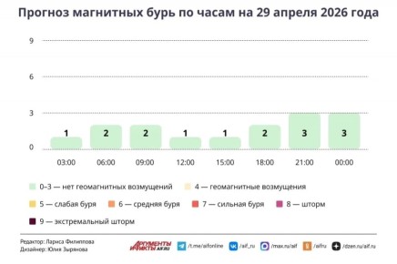 ������ � ������ 29 ������. ������ ������ ���������