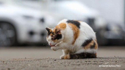 ������� ������ �� ����� �� �������� � ��� �������� ��������� � ������ ���������� �������� ������� "����� ����"