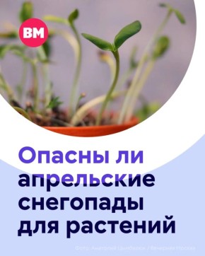 ��������� � ���� � ����� ������ � ������� ������ ��� ��������, ��������� � ����� ������� ������ ��� �������� ������ �������� � �����