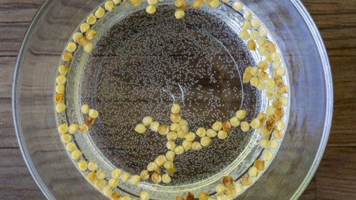 ������ � ������: ��� ��������� ������ � �������� ������