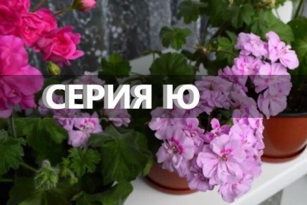 ���������� �: ����������� ����� � ������� �����