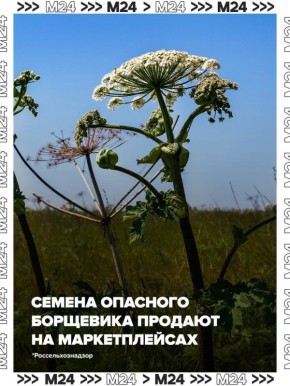 �� ������������� ������ ��������� ������ ��������� �����������, ��� �������� �������� ������� �����