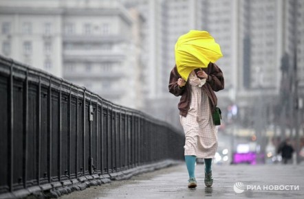 ������������ "�����������" ������ �������� �� ������ ������ ��� � ������