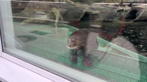 ����� ������� �������� ������, �������� ���� ��� ��������� � ���������� ��������