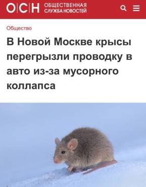 �� ����� ������ ����� ���������� �������� � ���� ��-�� ��������� ��������: ����� ���� ���� �����