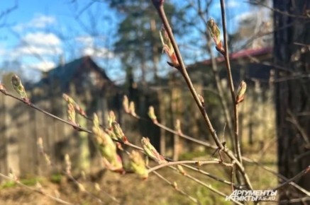 �������� ���������� ��������������� ����������� � ����� ������ � ������