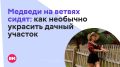 ����� ��� ��������� ���������� ���� �� ���������� �� ���� � �������� ������, ���� � ������� ������� ���� ����