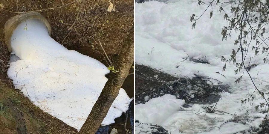 Жители Новой Москвы забили тревогу из-за появления странной пены на пруду Жители Новой Москвы забили тревогу из-за появления странной пены на пруду