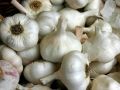 Как сохранить чеснок свежим и ароматным до весны