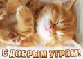 ������ ����, ������!. ������� ����������� � ������ �� ����� �������, ���� �� ����� ����