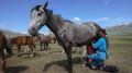 Почему кумыс и айран остаются актуальными летом и в повседневности