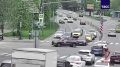 Сотрудники Росгвардии перекрыли Можайское шоссе, чтобы помочь утке с птенцами перейти дорогу